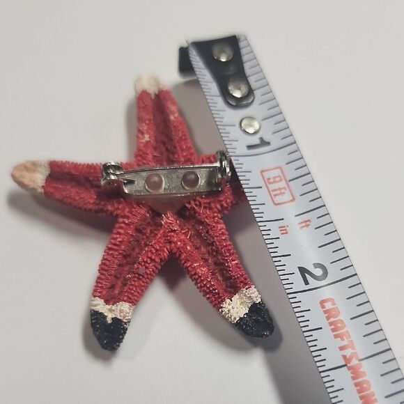 Hand Painted Starfish Brooch Santa Christmas Natural Dried - Picture 2 of 3